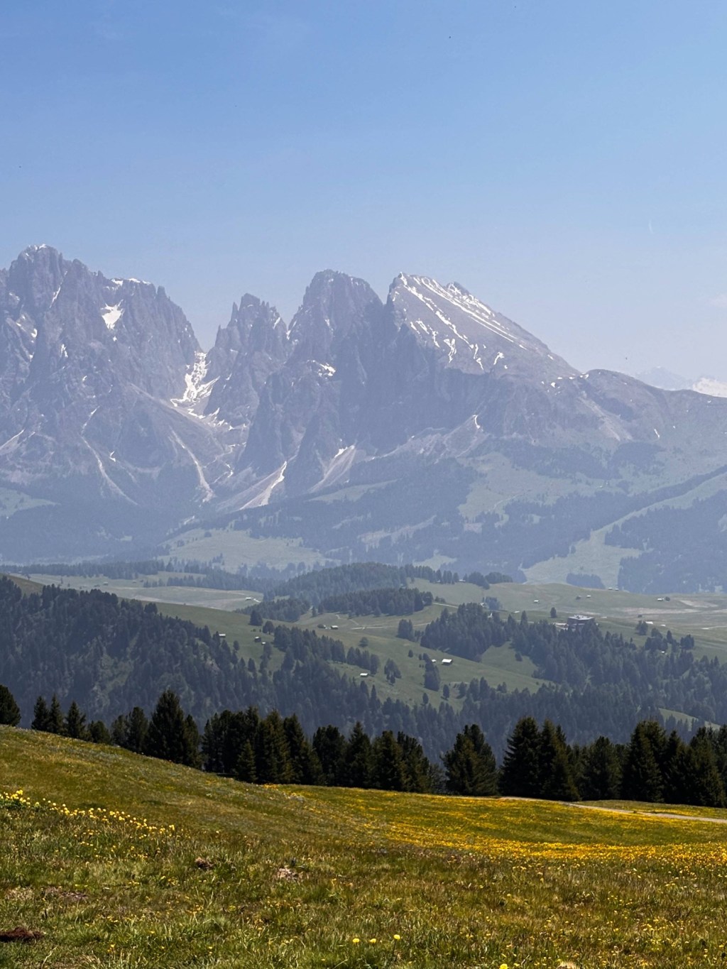 Wandern mit Hund auf der Seiser&nbsp;Alm