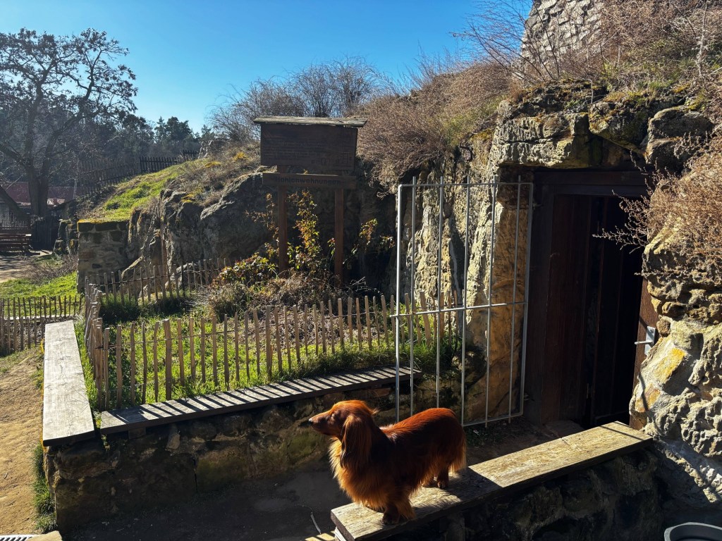 Die Höhlenwohnungen von&nbsp;Langenstein