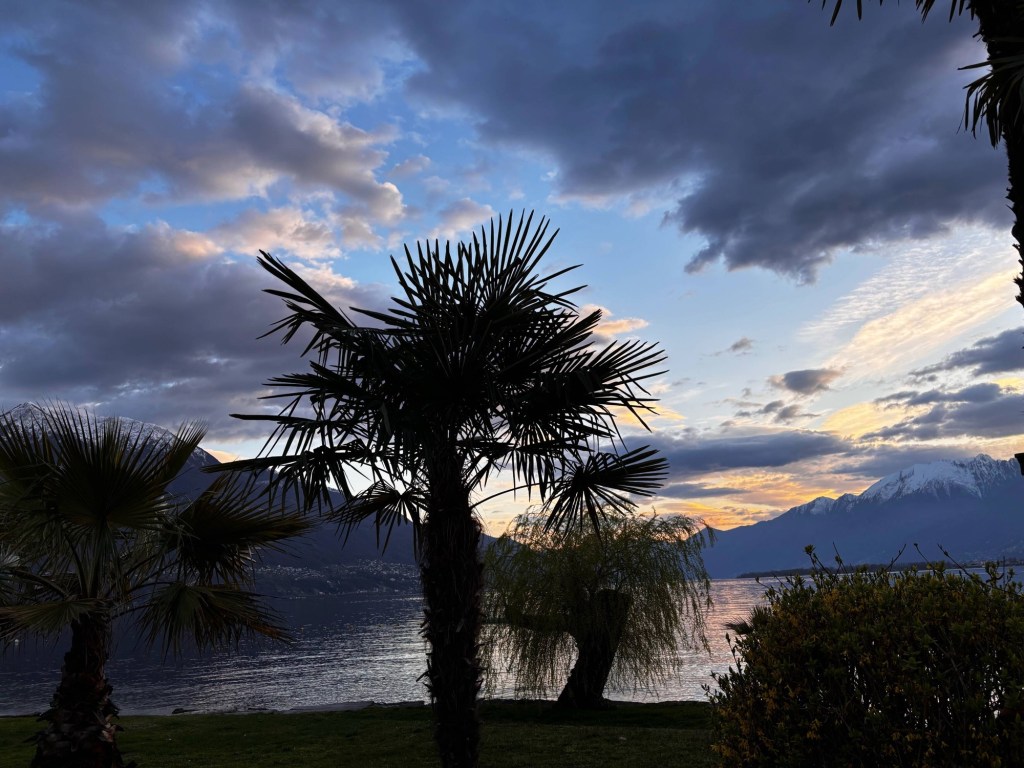 Urlaub mit Hund in Tenero