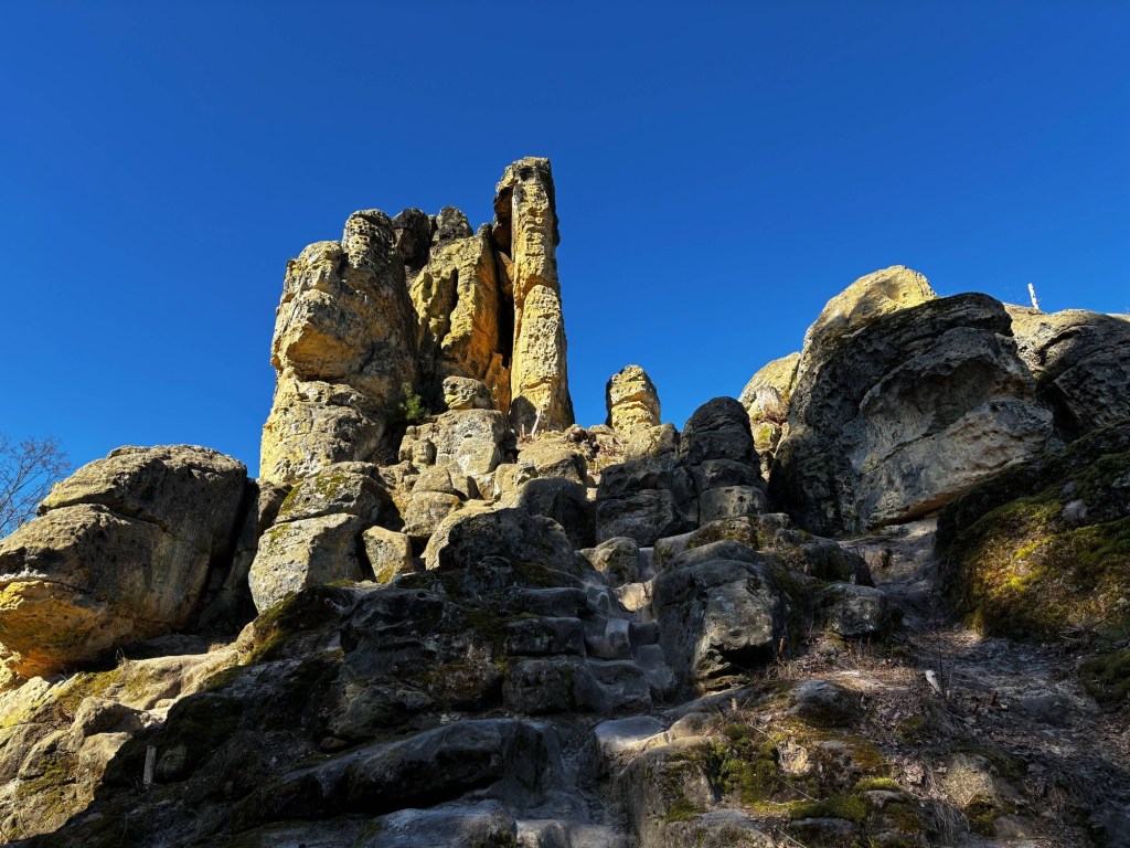 Eine Reise mit Hund nach Halberstadt
