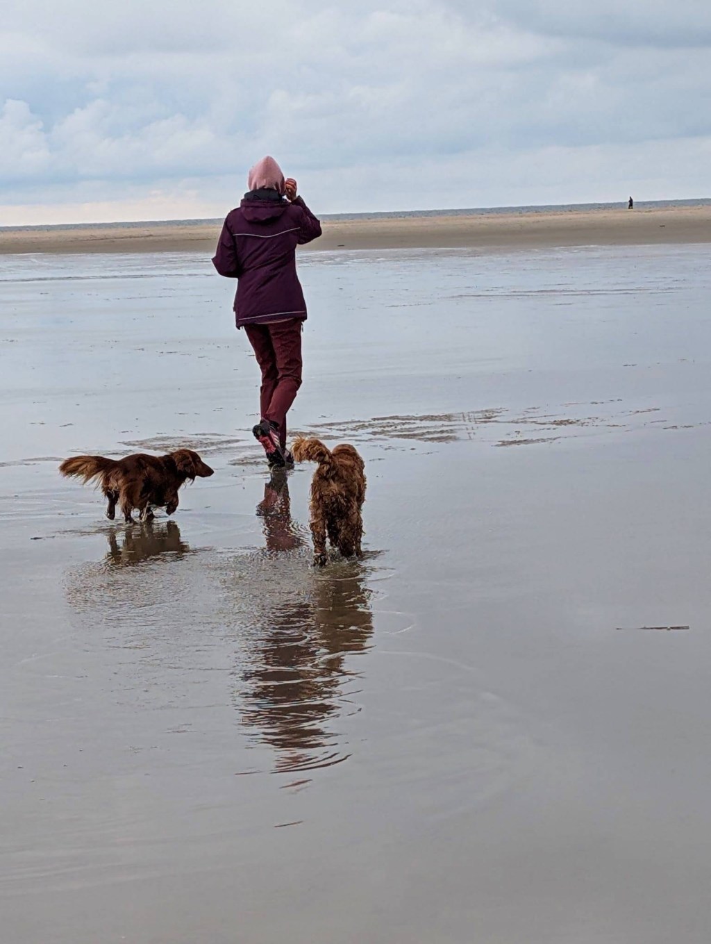 Lakolk auf Rømø – Freiheit, endloser Strand und ein Paradies für Hunde