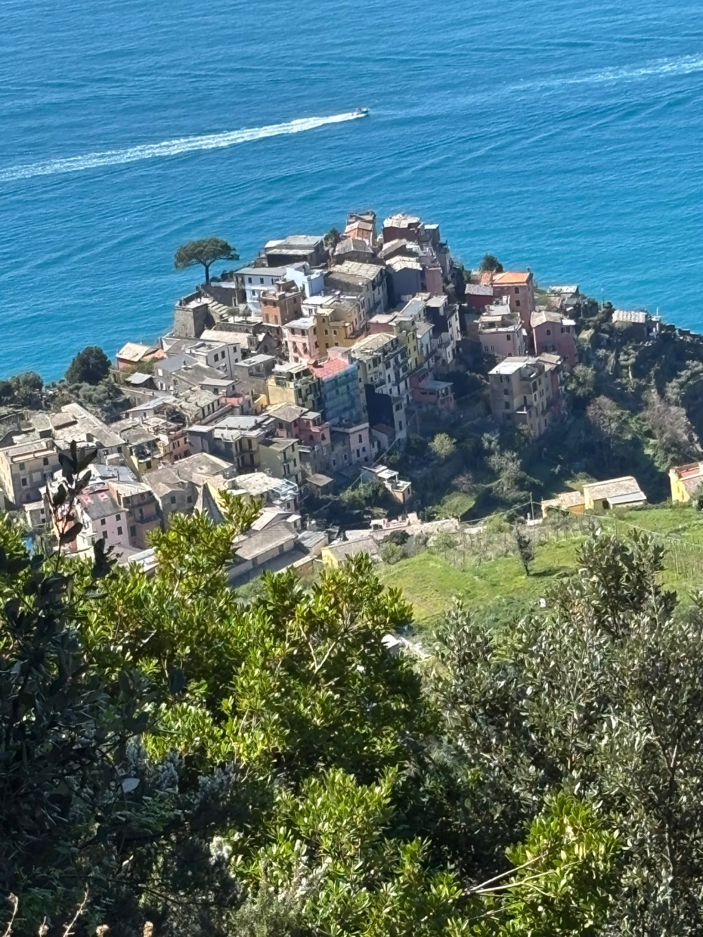 Corniglia