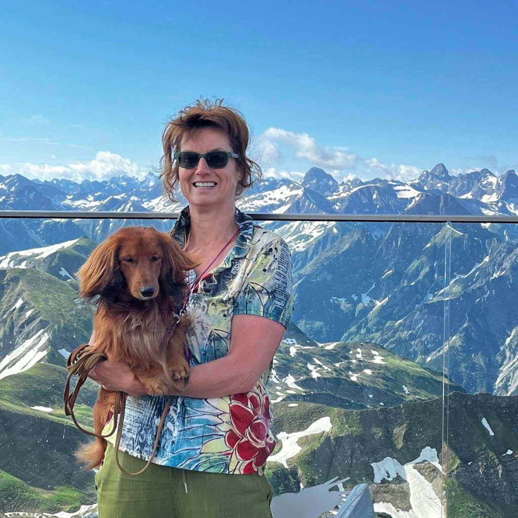 Hund und Reisen
