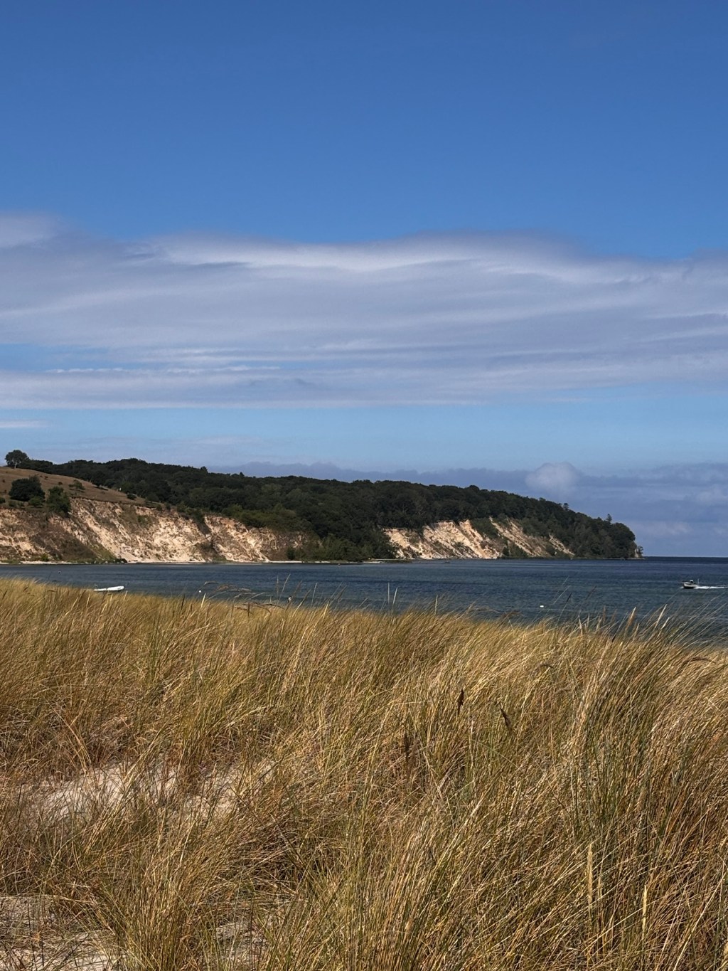 Urlaub mit Hund auf&nbsp;Rügen