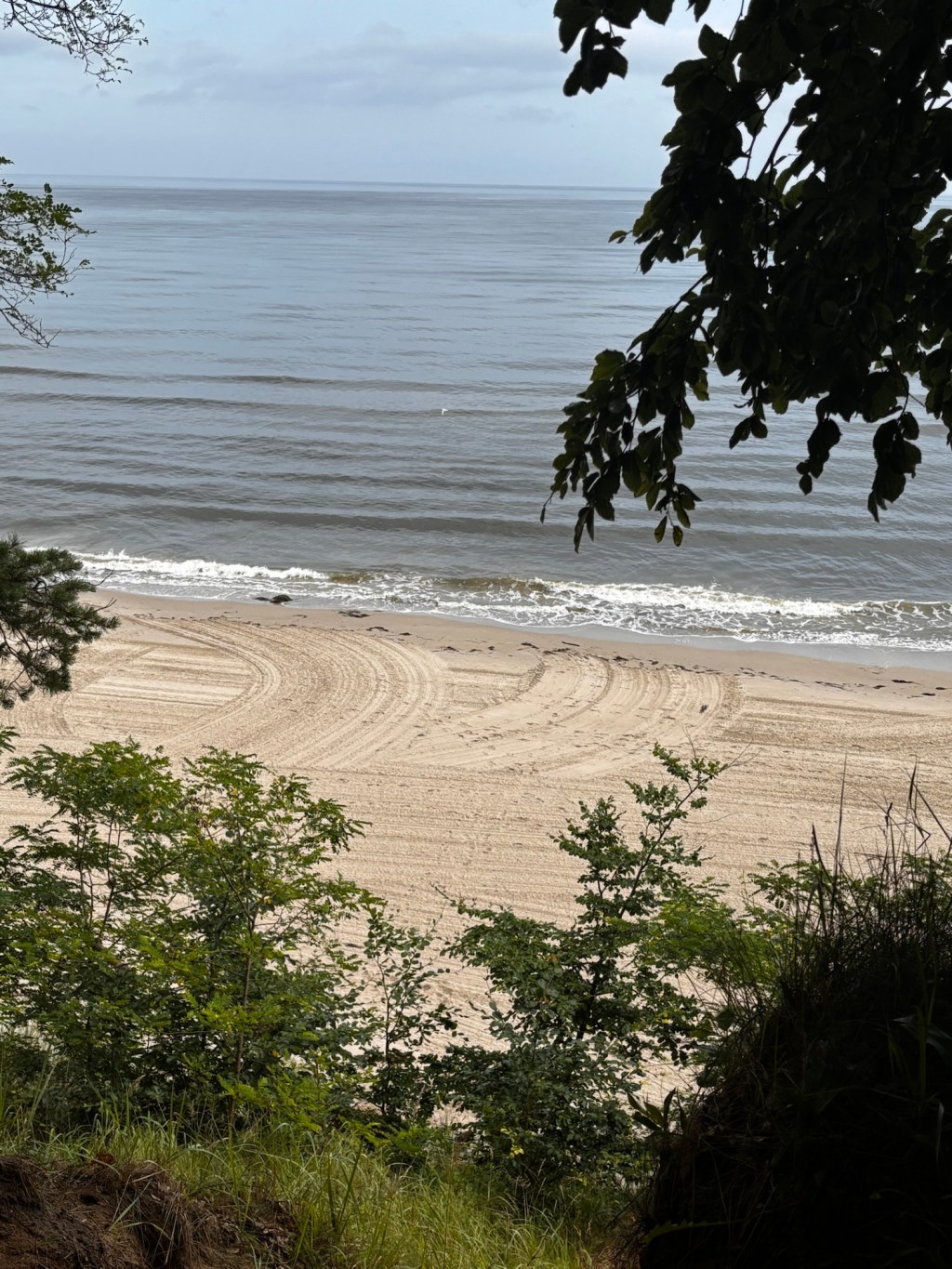 Usedom mit Hund