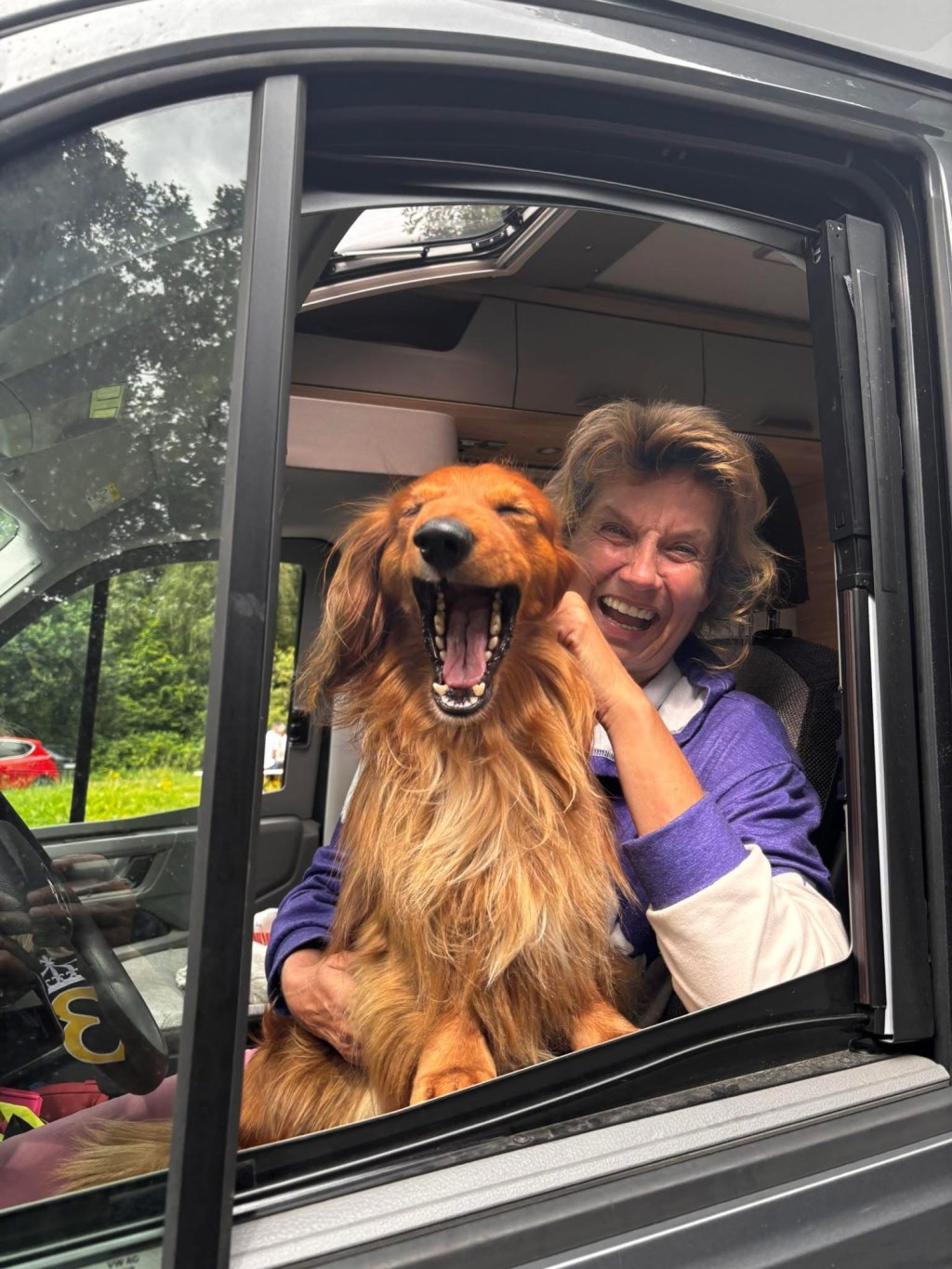 Autofahren mit Hund
