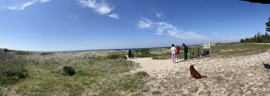 Geheimtipp für Fehmarn mit&nbsp;Hund