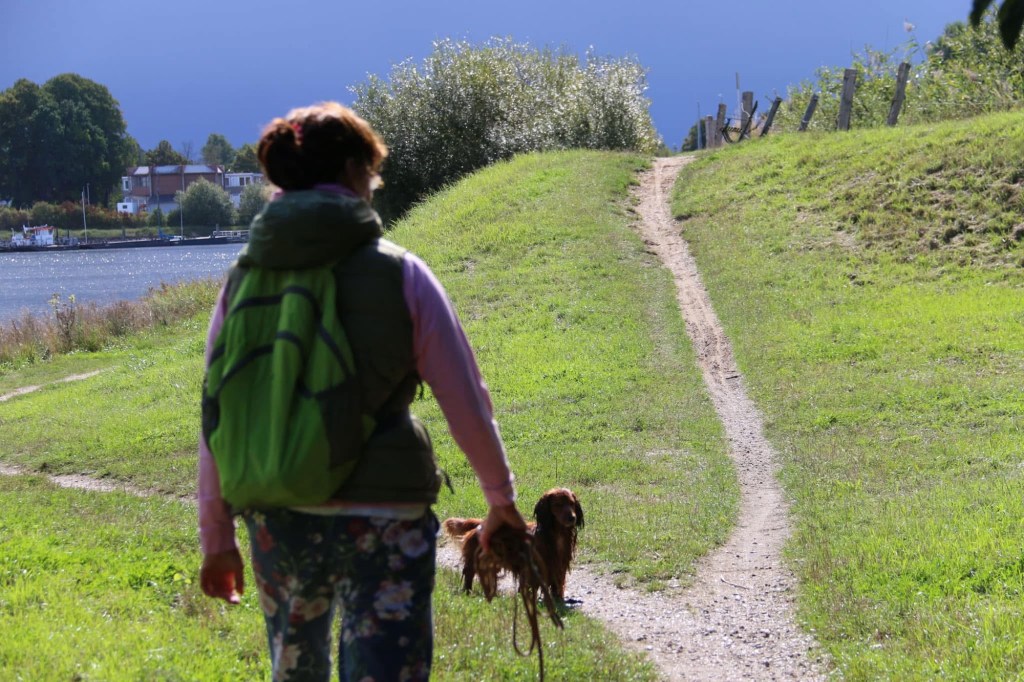 Wandern im Schwarzwald