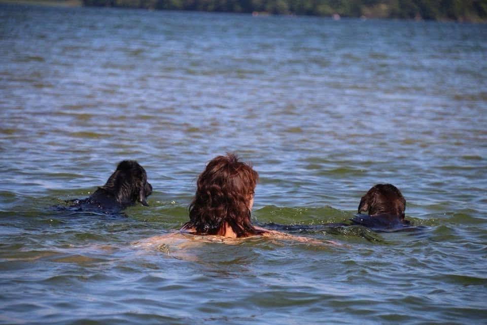 Schwimmen mit Hund