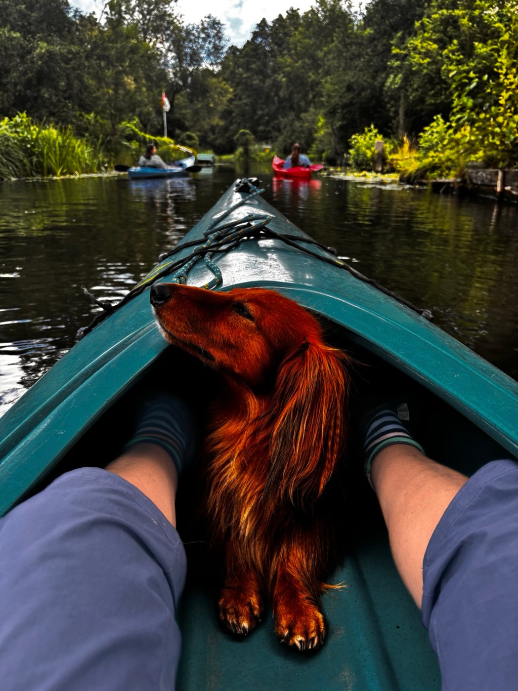 Mit Hund im&nbsp;Spreewald