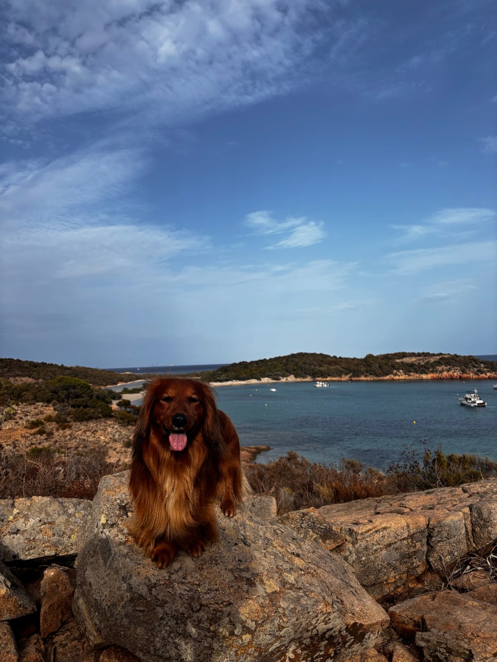 Urlaub mit Hund auf Korsika