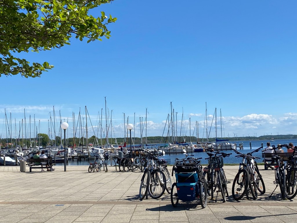 Urlaub mit Hund in&nbsp;Rerik