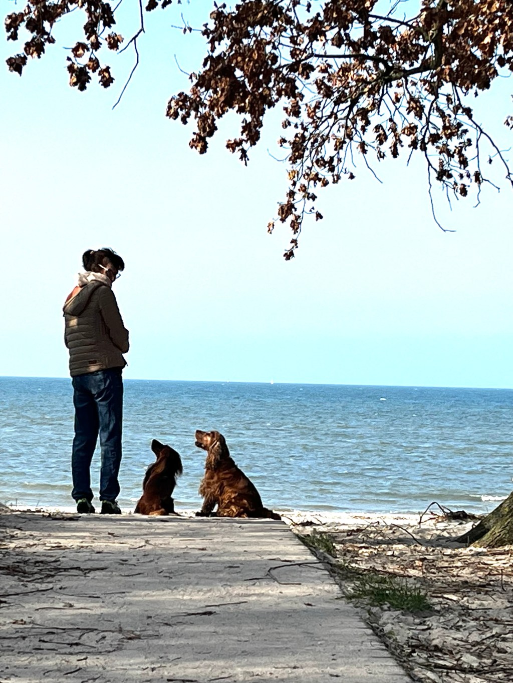 Urlaub mit Hund in Rosenhagen