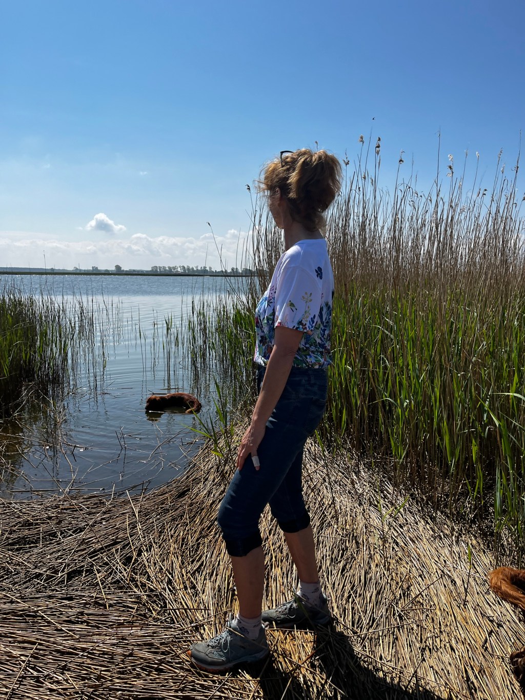 Hundeurlaub in Zingst