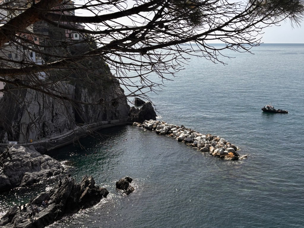 Manarola mit Hund