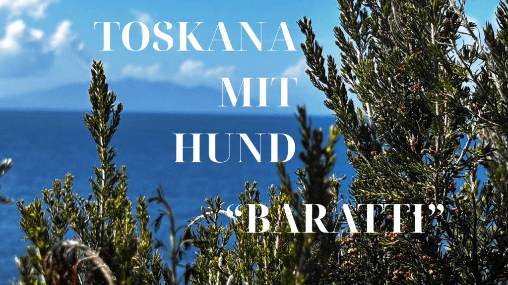 Echter Geheimtipp mit Hund in der Toskana