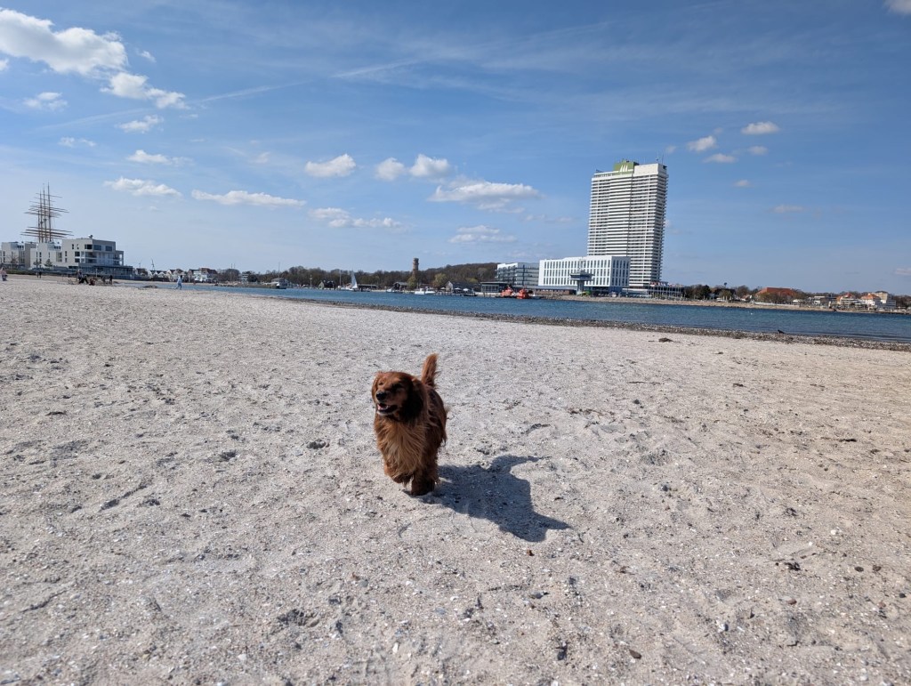 Sonnenschein an der Ostsee