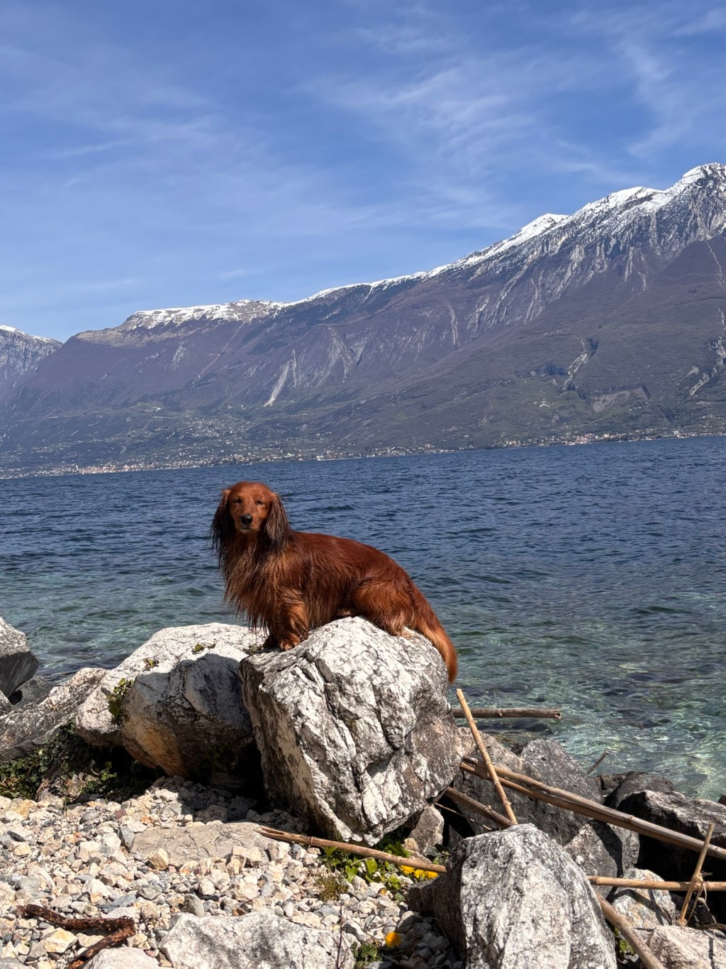 Am Gardasee mit&nbsp;Hund