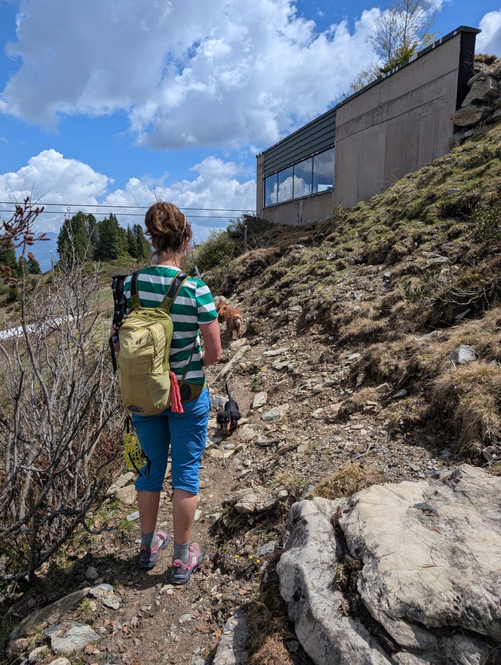 Mit den Hunden auf den Penkenberg