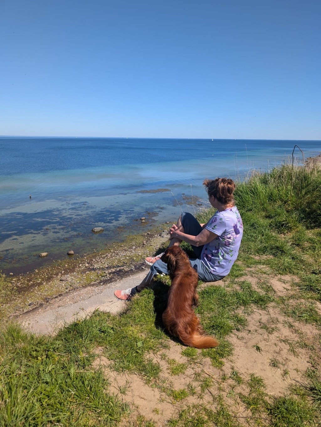 Wandern mit Hund in Boltenhagen