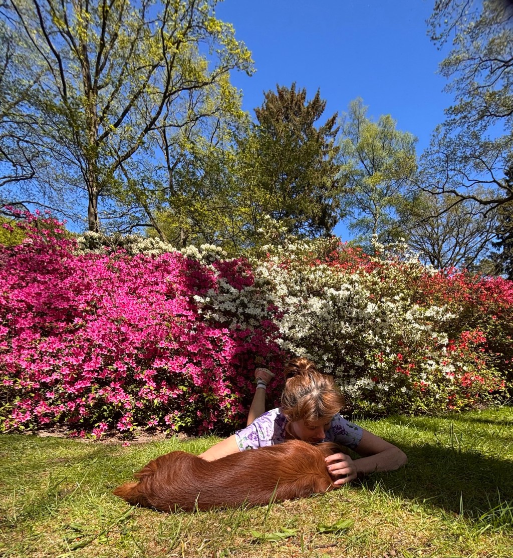 Rhododendronpark Bremen