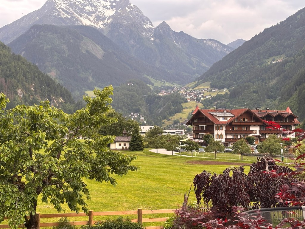 Mit den Hunden ins Zillertal Mayrhofen