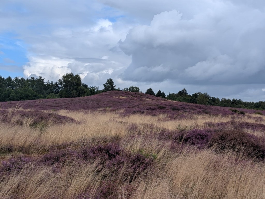 Bretziner Heide