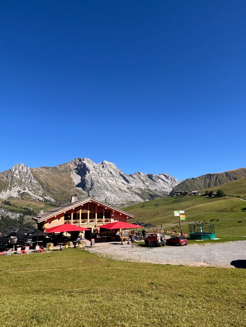 Atemberaubende alpine Hundewanderung