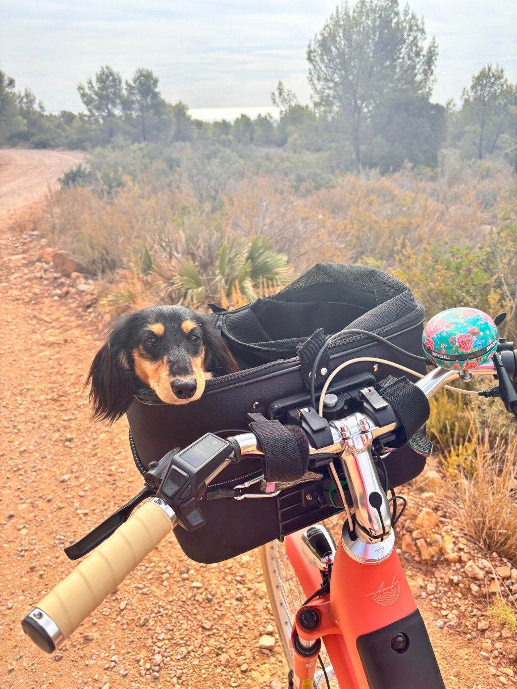 Radtour im Parc Natural de la Serra d’Irta